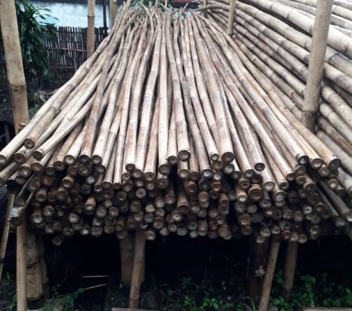 Bambu Umbul Umbul Jogja