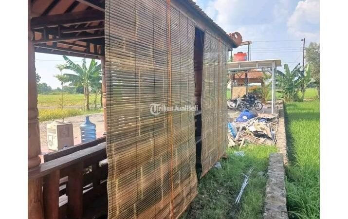 Jual Tirai Bambu Bantul Termurah 088228903974