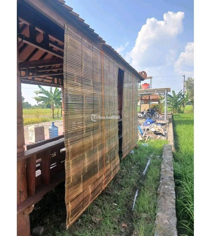 Jual Tirai Bambu Bantul Termurah 088228903974