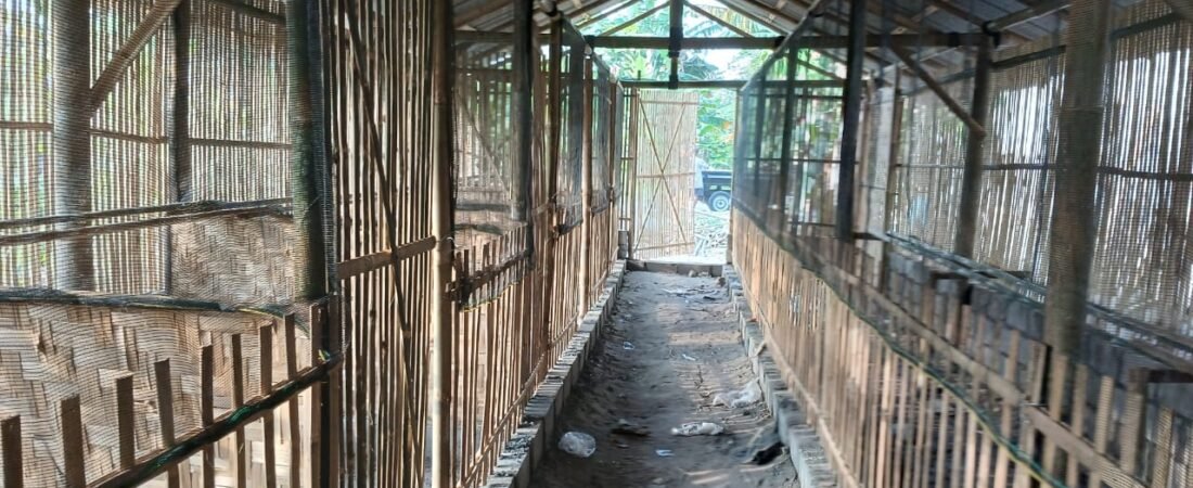 JASA PEMBUATAN KANDANG AYAM DI JOGJA