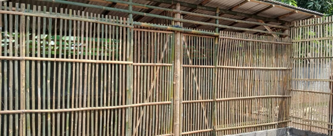 Tukang Kandang Ayam di Kalasan– Profesional, Kuat, dan Harga Terjangkau