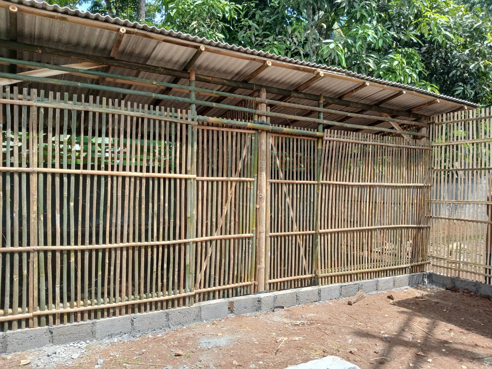 Tukang Kandang Ayam di Kalasan– Profesional, Kuat, dan Harga Terjangkau